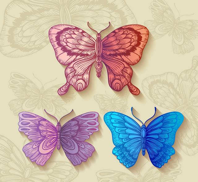 彩色花纹蝴蝶设计