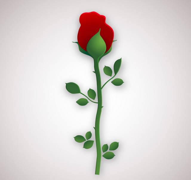 单枝红玫瑰花