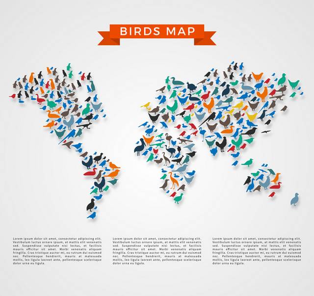 鸟类世界地图