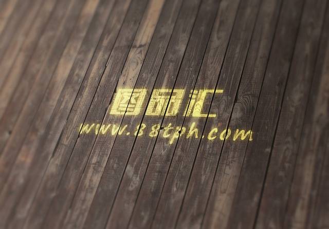 标志效果样机