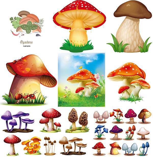 卡通蘑菇矢量1
