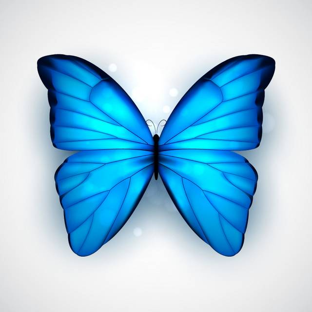 蓝色蝴蝶矢量