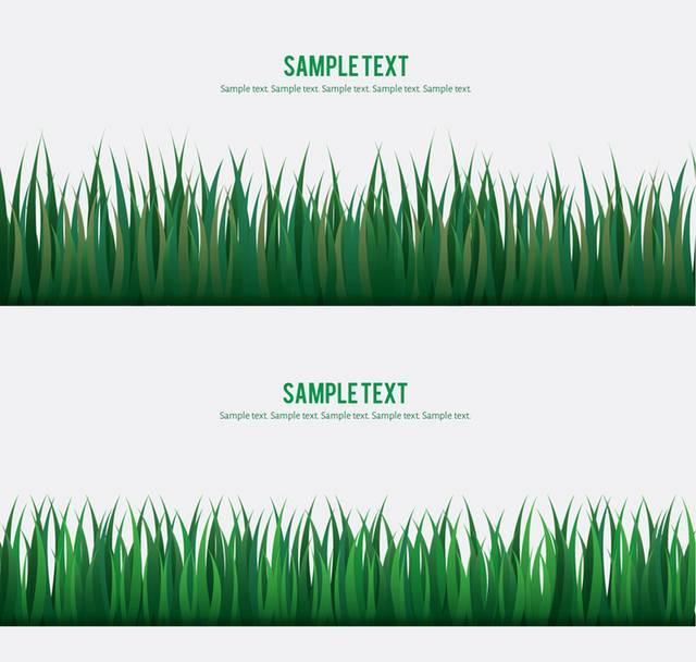 绿色草丛的矢量