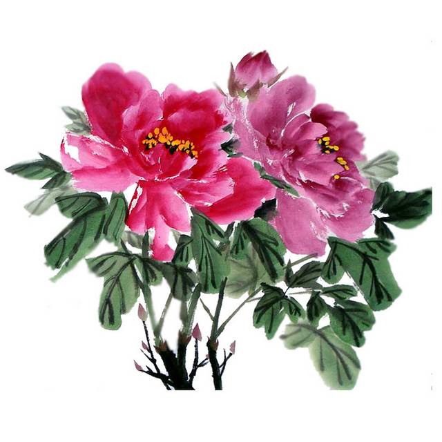 水墨芙蓉素材