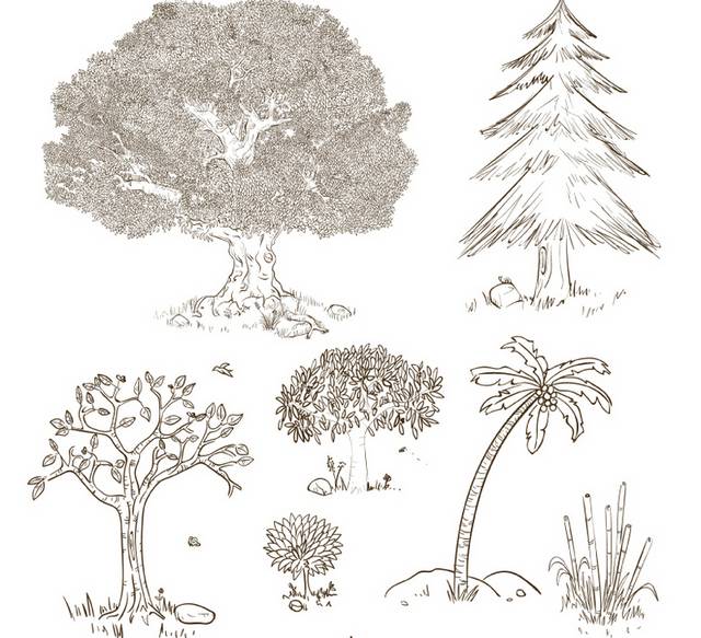 手绘树木设计