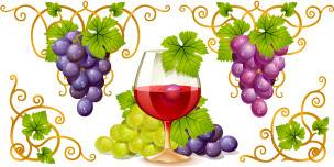 可爱葡萄与葡萄酒