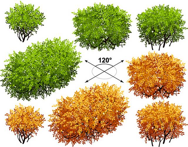 矮树丛设计矢量