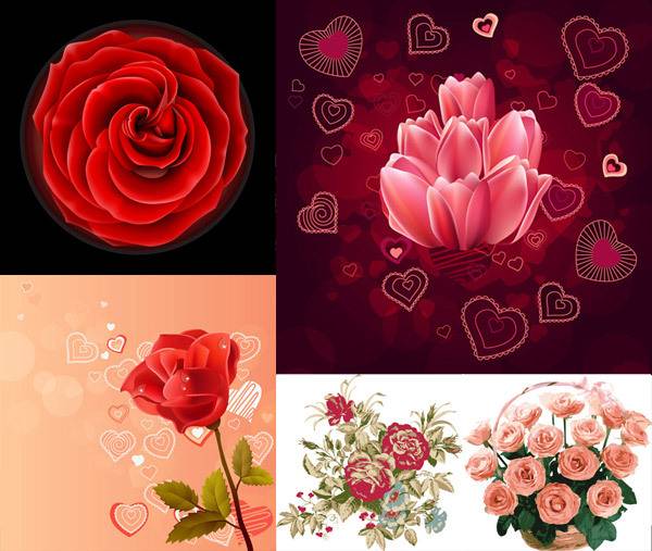 玫瑰花与心形元素