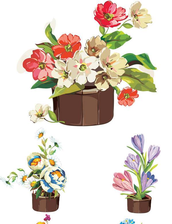 美丽盆栽花朵