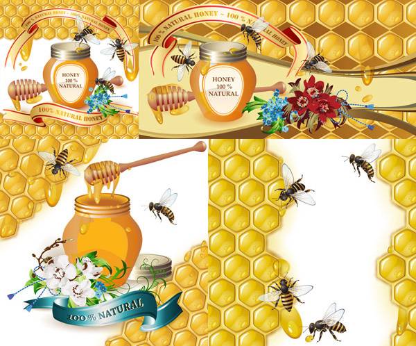 蜂蜜与蜜蜂矢量