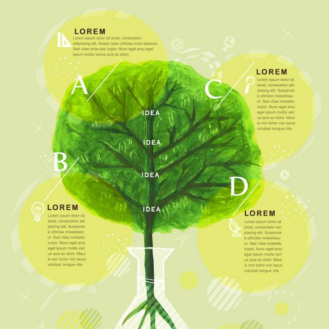 树木教育信息图