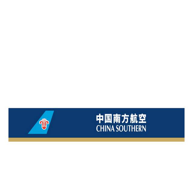 中国南方航空集团公司