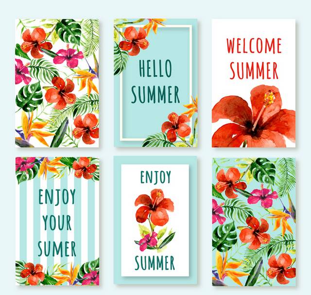 夏季热带花卉卡片