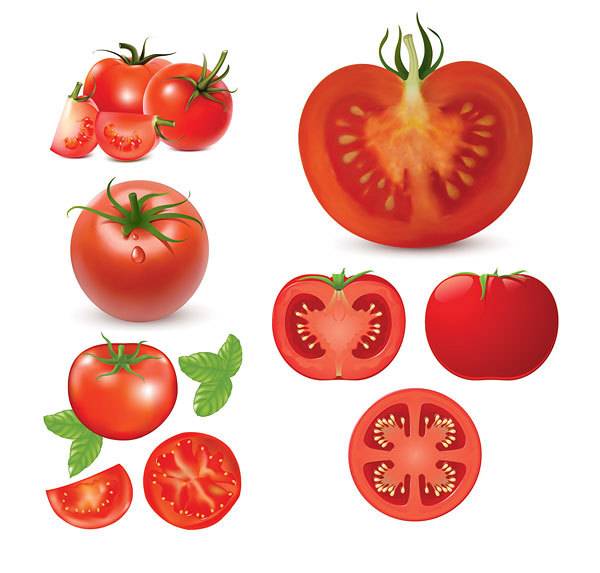 西红柿矢量素材1