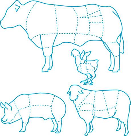 牛猪羊鸡食用分布矢量