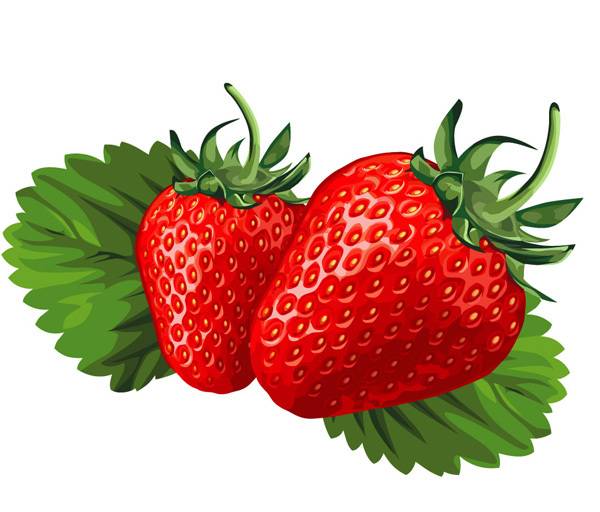 矢量草莓1