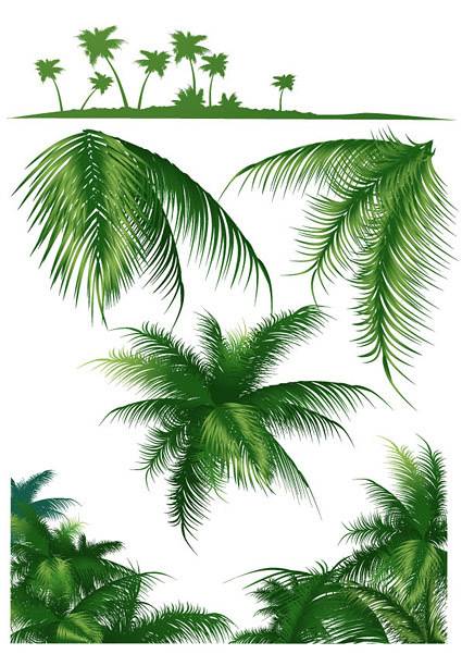 椰子树系列矢量