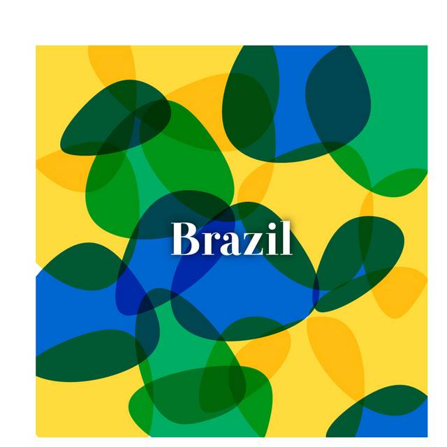 巴西,巴西世界杯