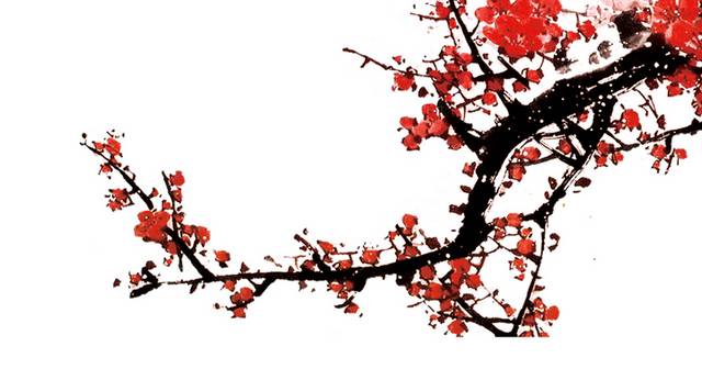 梅花素材