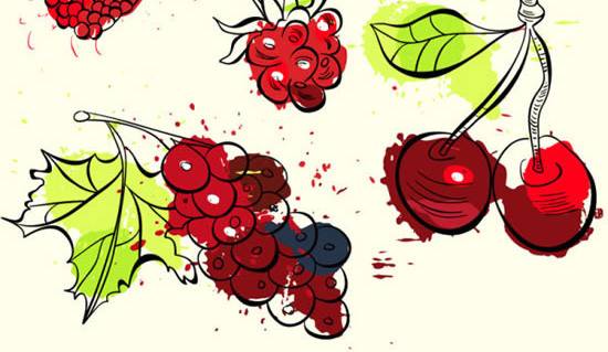 彩绘水果插图