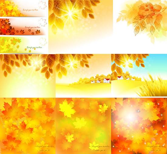 金黄树叶秋天