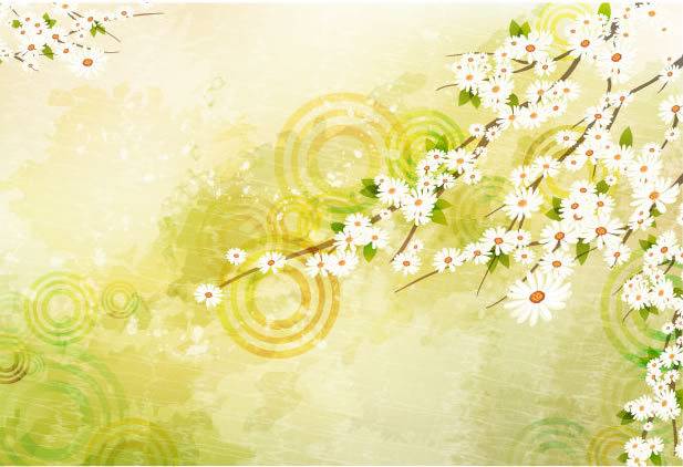 白色花朵背景1