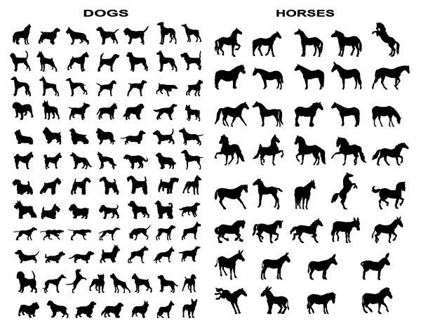 马和狗动作剪影