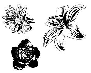 矢量黑白花卉1
