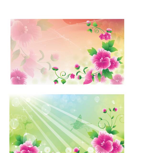 精美娇艳牵牛花