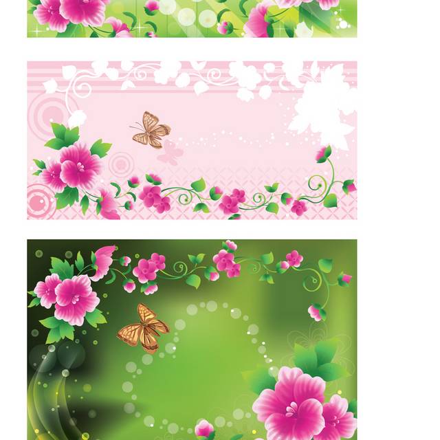 精美娇艳牵牛花