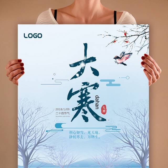 精致唯美大寒节气海报
