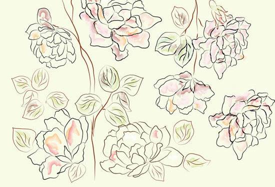 手绘线描鲜花