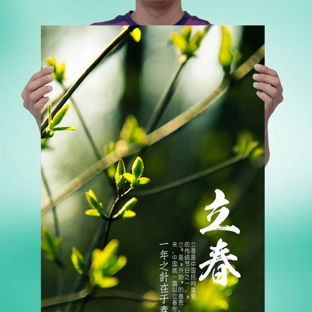 绿色植物树枝立春海报