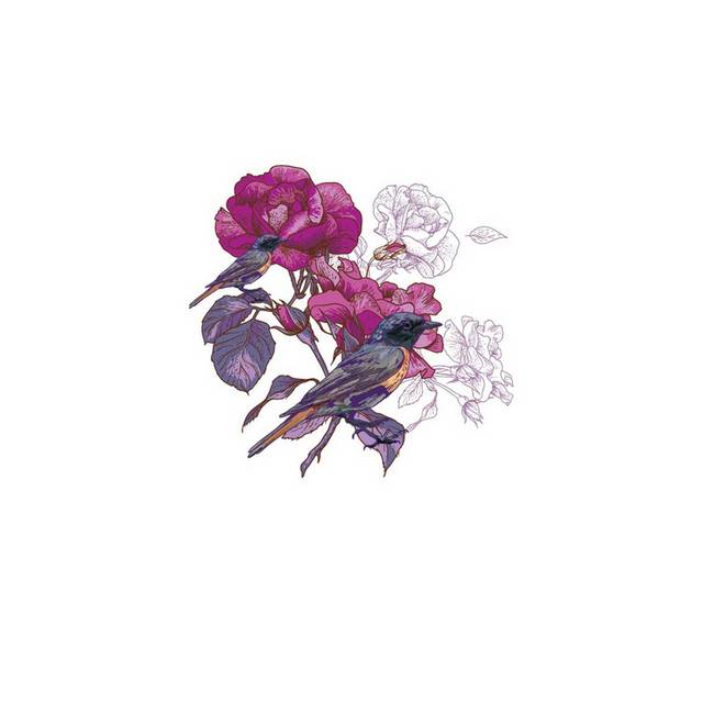 唯美花鸟素材