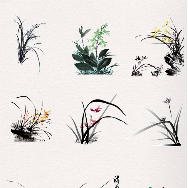 兰花合集素材