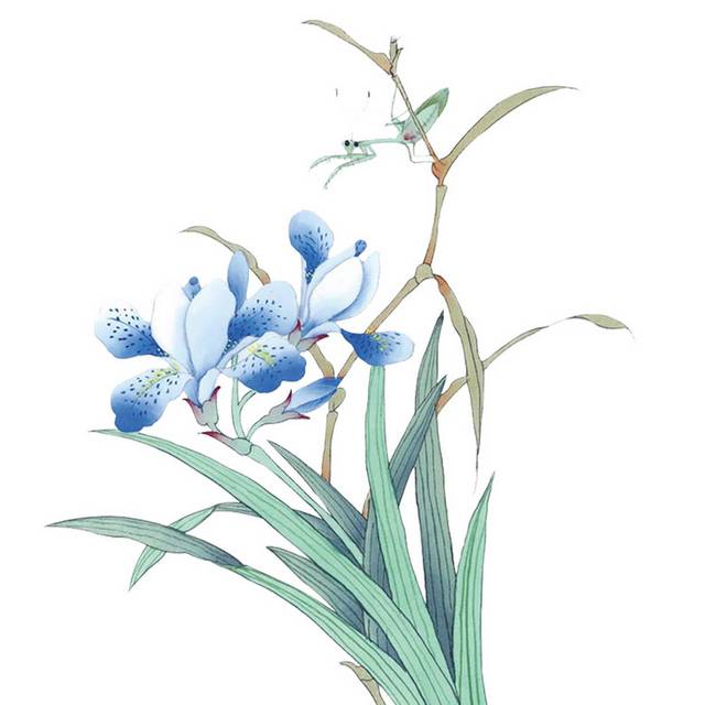 蓝色鲜艳兰花
