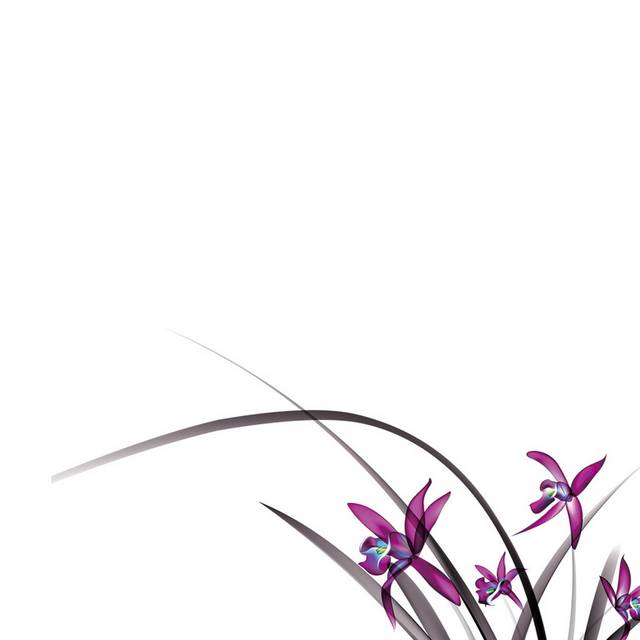 美丽的兰花素材
