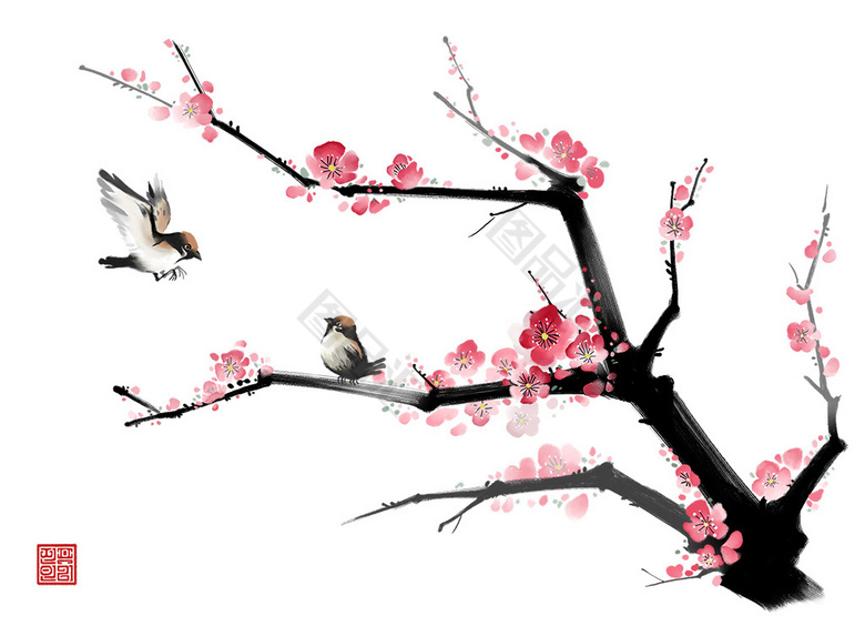 梅の花に集まるメジロなどの小鳥たち｜ヒヨドリ、シジュウカラ