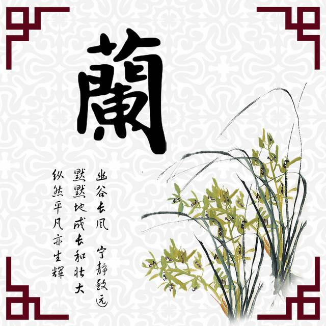 优雅兰花素材