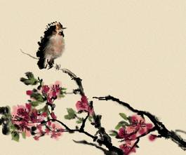 梅花鸟_图品汇