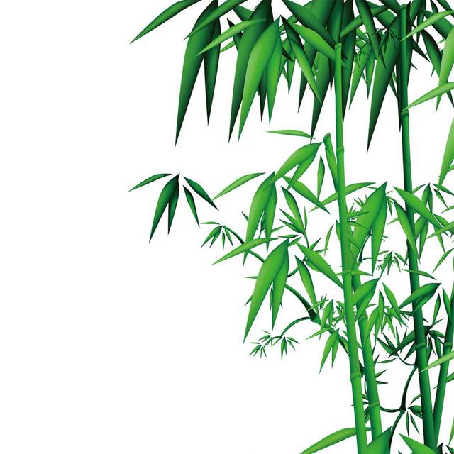 青竹分层设计元素