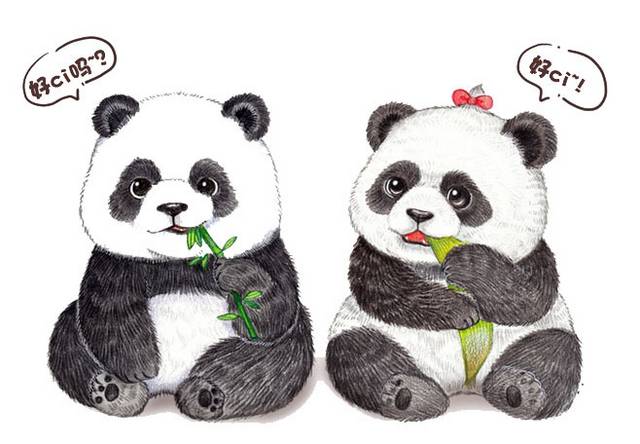 卡通两只熊猫素材