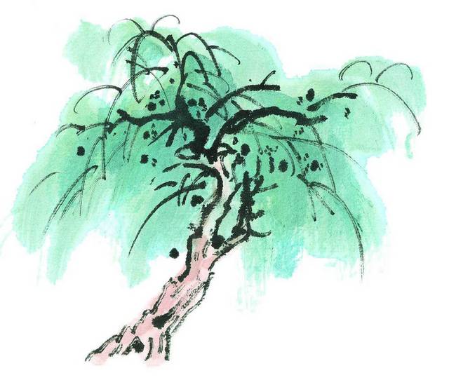 中式柳树素材