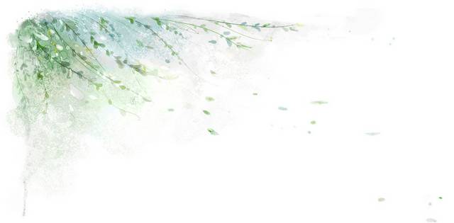 唯美柳树素材
