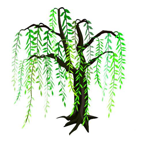杨柳柳枝素材