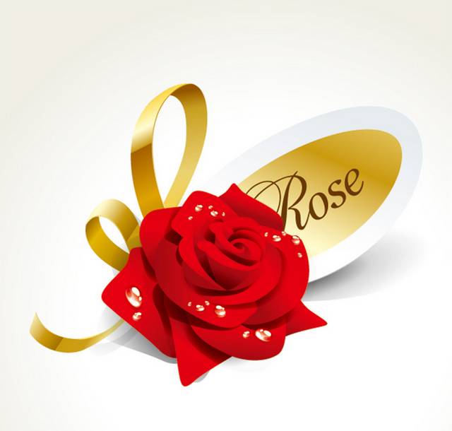 娇艳玫瑰花朵情人节胸针矢量素材设计