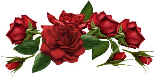 玫瑰花设计元素