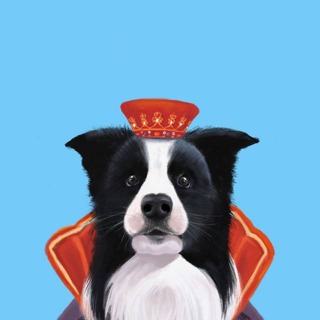 黑白小狗