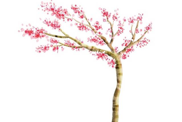 粉色漂亮桃树素材