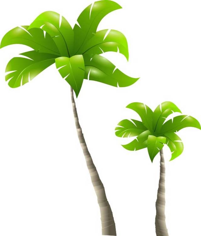 椰树设计素材
